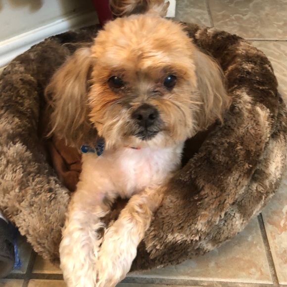 Meet your Posher, Linda - Picture 2 of 2